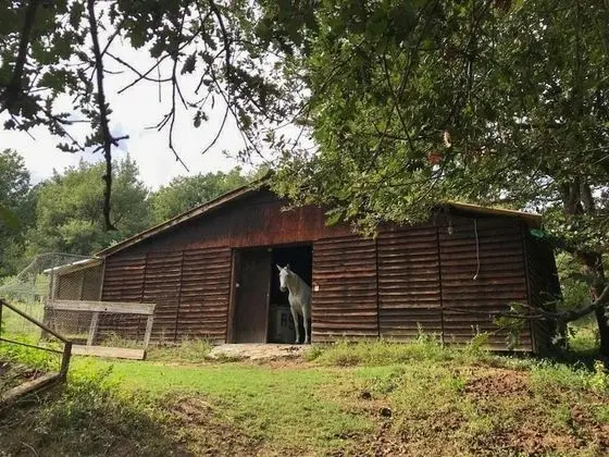 Chambre d'hôtes du Moulin de la Passere - Dış Mekan