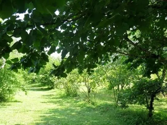Chambre d'hôtes l'Abricotier - Dış Mekanlar