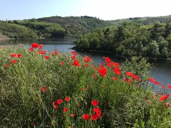 Chambre D'hôtes les Myriades D'Or - Dış Mekan