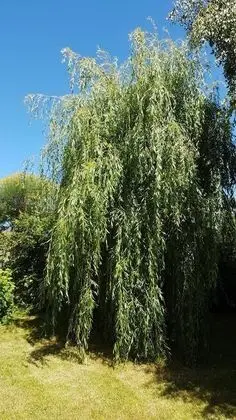 Chambre d'hôtes Liz'A - Dış Mekan