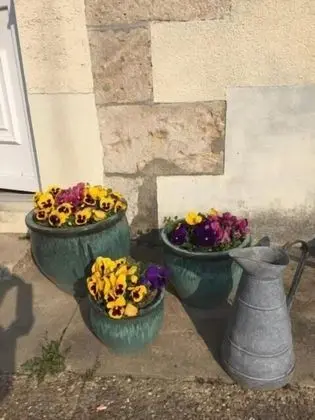 Chambre d'Hôtes Proche de Briare - Yerinde Yemek