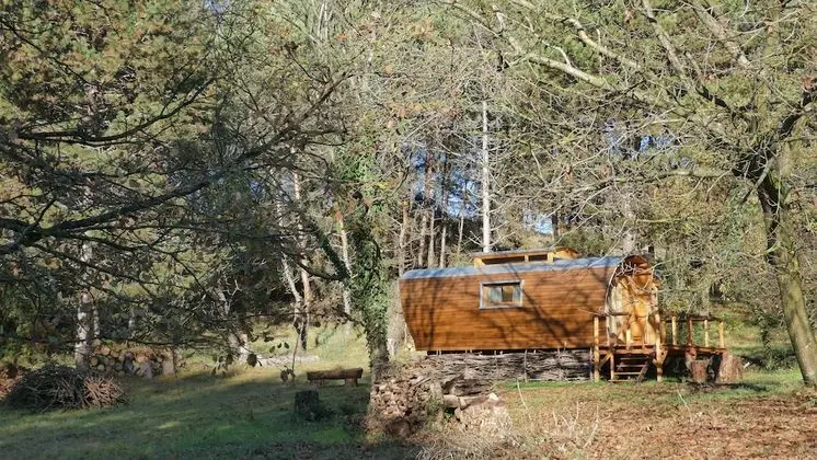 Chambres d'hotes A l'Ombre du Saule - Dış Mekan