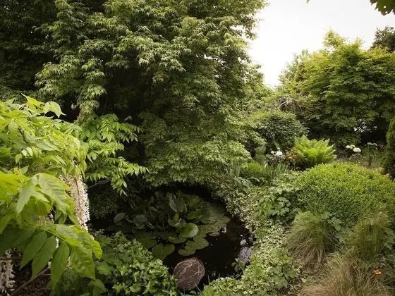 Chambres d’hôtes Au Jardin - Dış Mekan