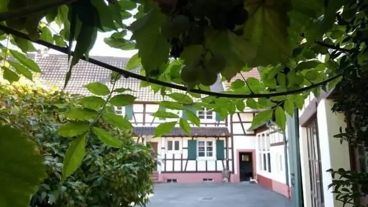 Chambres D'hôtes Aux Deux Cigognes - Dış Mekan