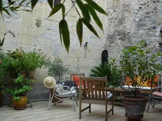 Chambres d'Hôtes de Fleurus - Dış Mekan