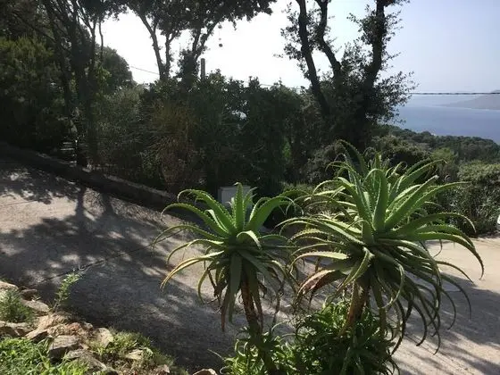 Chambres d'hôtes Île de Beauté - Dış Mekan