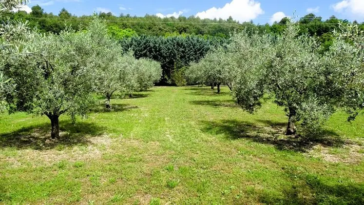 Chambres d'hôtes La Bastide des Roses - Dış Mekan