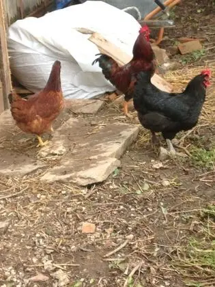 Chambres d'Hotes la Source - Dış Mekan