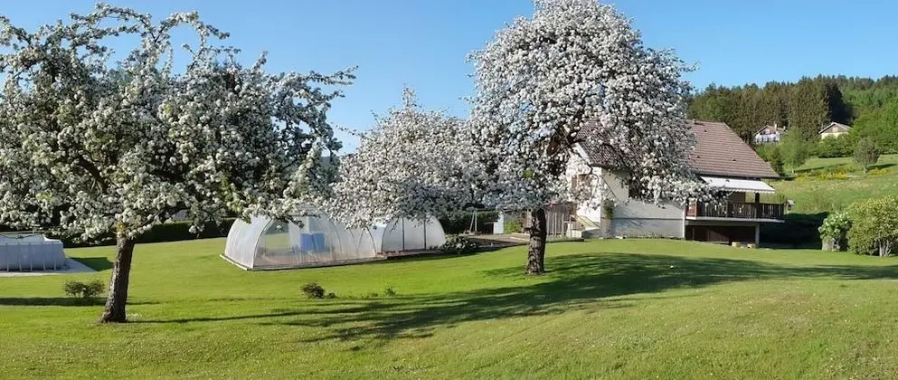 Chambres d'hôtes Les Jumeaux - Dış Mekan