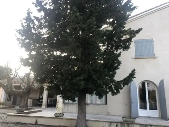 Chambres d'hôtes Mas de l'Evidence - Dış Mekan