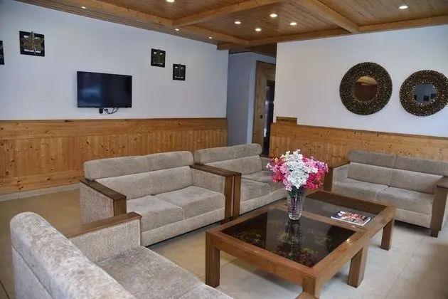 Chandertal Regency Hotel & Spa, Manali - Lobi