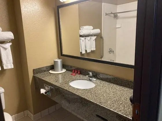 Chandler Hospitality Inn - Banyo Tipleri