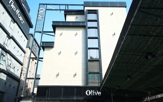 Changwon Jinhae Olive
