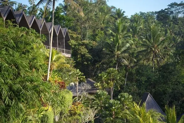 Chapung Sebali