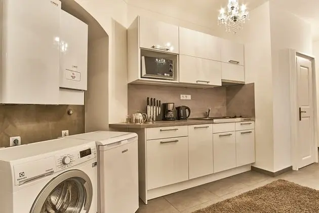 Charles Bridge Royal Apartment - Mutfak