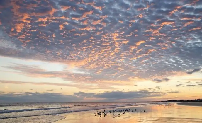 Charleston Kiawah Island/Andell Inn - Plaj