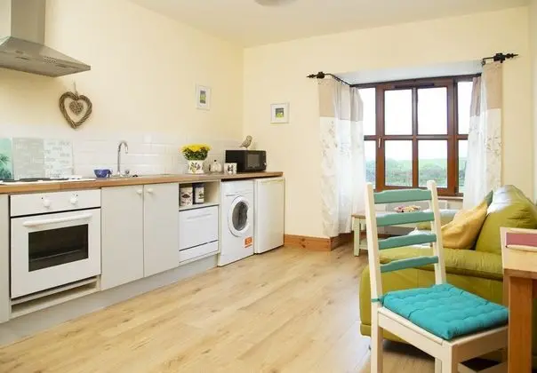 Charming 1-bed Apartment in Ardfert, Tralee - Mutfak