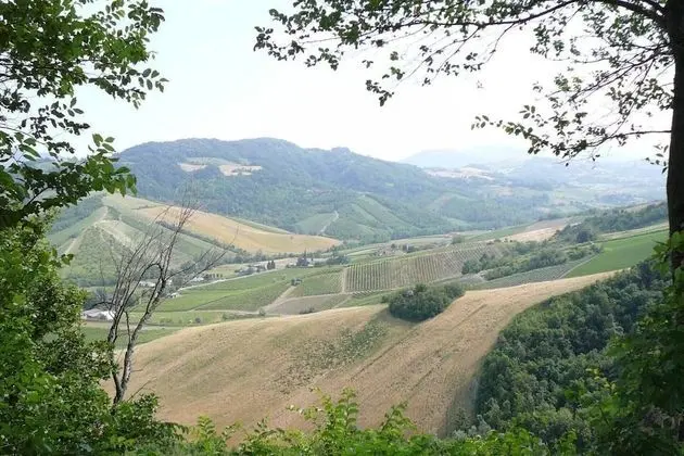 Charming 1-bed Apartment in Castell'arquato - Dış Mekan
