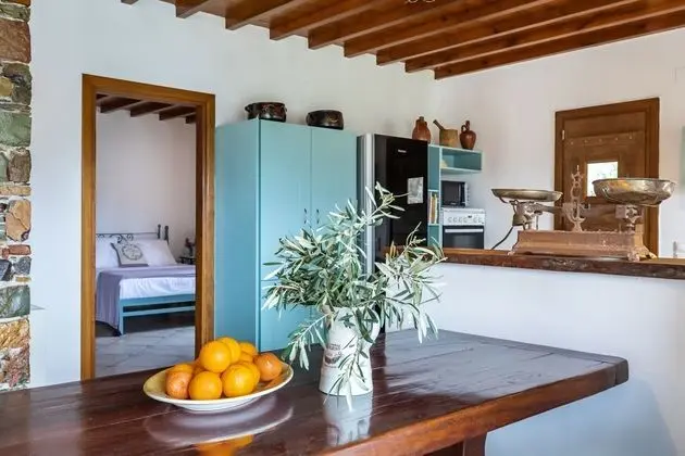 Charming 1-bed House in Stafylos - Mutfak