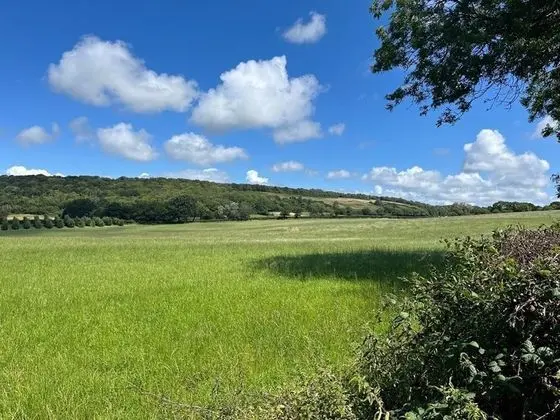 Charming 1-bed Studio Cottage in Winscombe - Genel