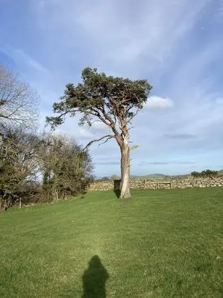 Charming 3-bed House in Abergele, Wales, UK - Dış Mekan