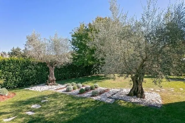 Charming 6-bed Villa in Vižinada - Dış Mekan