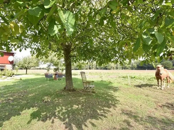 Charming Apartment in Pugholz Near Sea - Öne Çıkan Resim