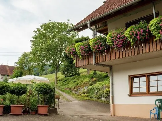 Charming Apartment in Regelsbach With Balcony Near City Centre - Dış Mekan