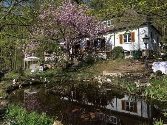 Charming Apartment in Weißenbrunn Near Forest