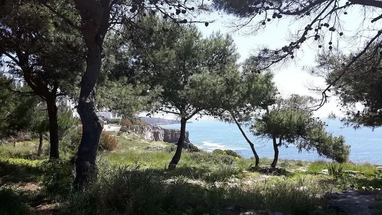 Charming Villa GOLF & BEACH - Dış Mekan