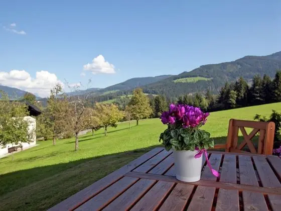 Charming Holiday Home in Hüttau With Barbecue - Yerinde Yemek