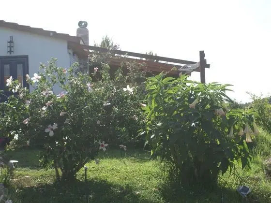 Charming Holiday Home in Kritinia With Garden - Dış Mekan