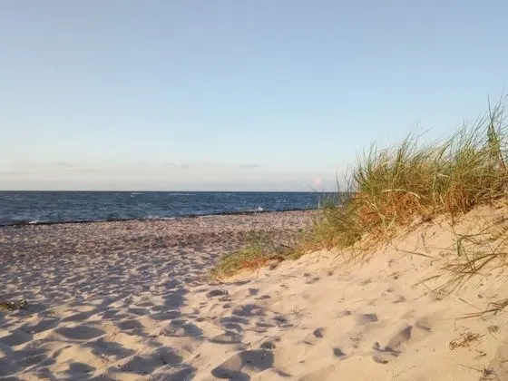 Charming Holiday Home in Robertsdorf on Baltic Coast - Dış Mekan