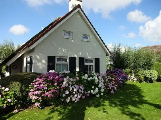 Charming Holiday Home in Steendam With Sauna - 1