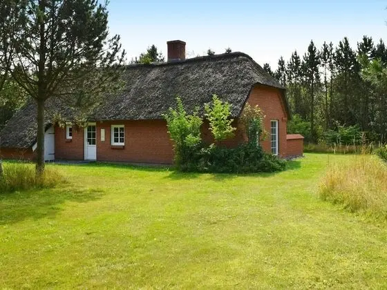 Charming Holiday Home in Ulfborg With Whirlpool