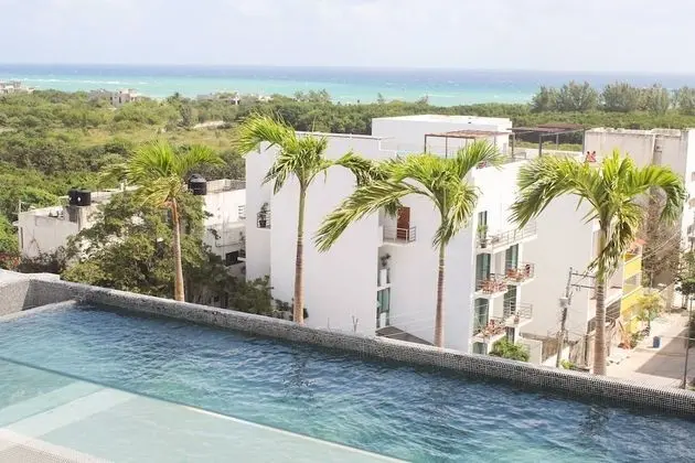 Charming, Huge Bright Studio on the New 5th Avenue, 3 Blocks From the Beach