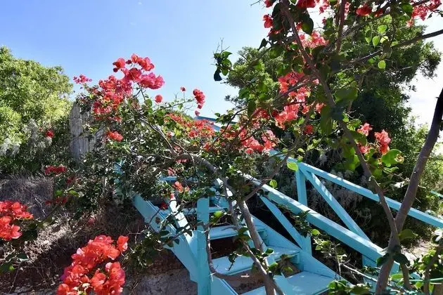 Charming Mediterranean House Surrounded by a Natural Oasis - Dış Mekan
