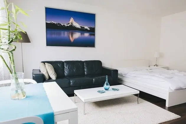 Charming Studio 3´to Limmat River with POCKET WIFI - Oda Düzeni