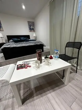 Charming Studio Apartment in London