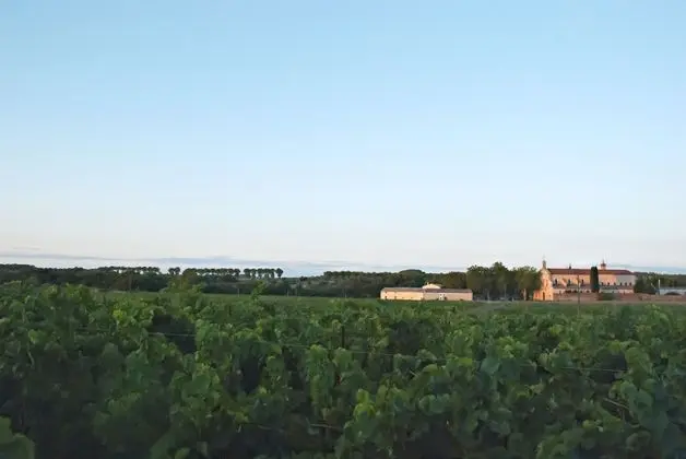 Chartreuse de Mougeres - Dış Mekan