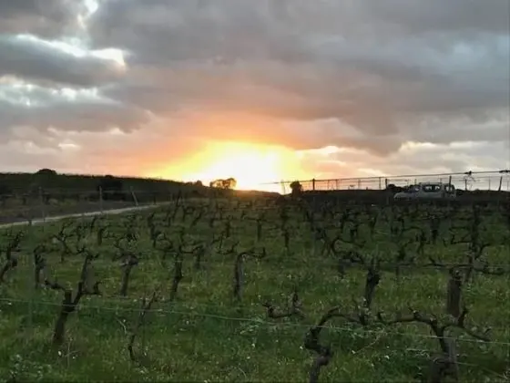 Château Autignac - Dış Mekan
