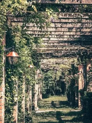 Château Belle Epoque - Chambres d'hôtes - Dış Mekan