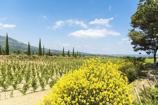 Chateau Cicéron - Dış Mekan