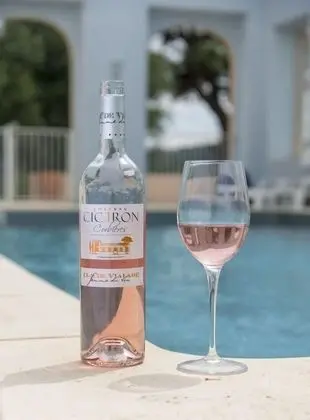 Chateau Cicéron - Havuz