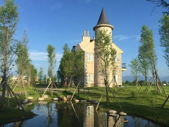 Chateau de france
