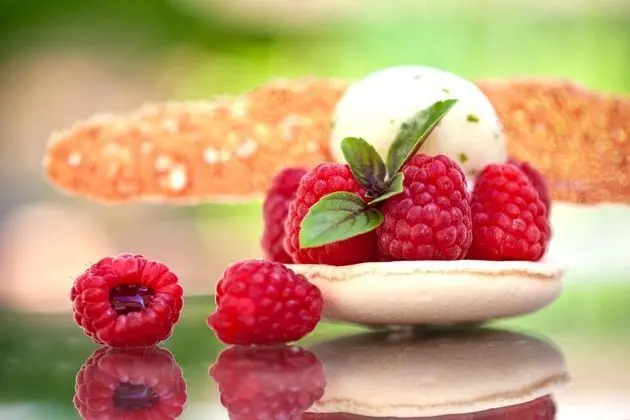 Château de Massillan