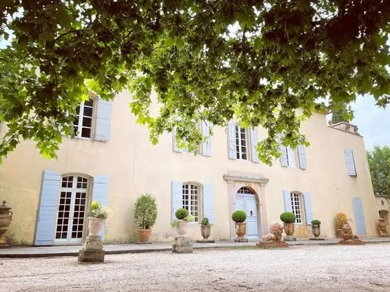 Château de Saint-Girons B&B - Dış Mekan