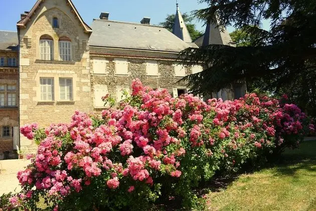 Château de Varambon - Dış Mekan
