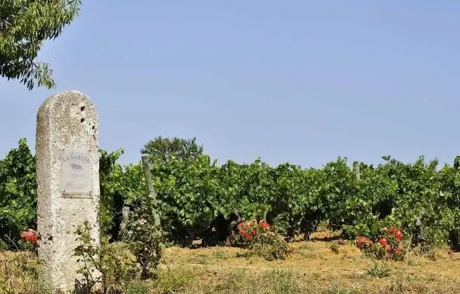 Château La Sabine - Dış Mekanlar