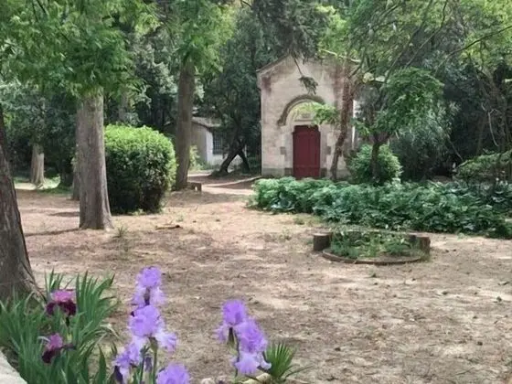 Château Pech-Céleyran - Dış Mekan